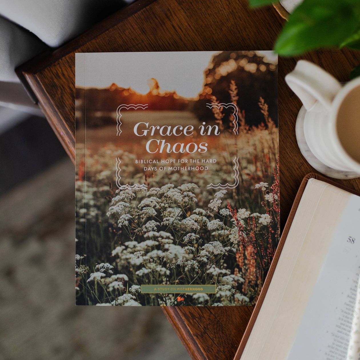 Grace in Chaos | Biblical Hope For the Hard Days of Motherhood - Coremarkets